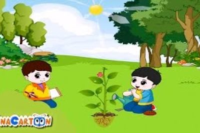 Thông tư Ban hành Quy chế tổ chức và hoạt động trường mầm non tư thục Thông tư Ban hành Quy chế tổ chức và hoạt động trường mầm non tư thục